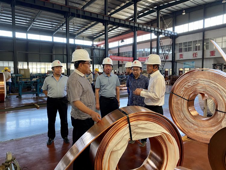 Li Peng, deputy director of the Human Resources and Social Security Department of Henan Province, led a delegation to visit Xinchang Copper